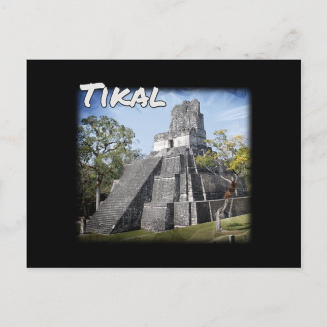 Guatemala Tikal Ruins Temple Postcard (Front)