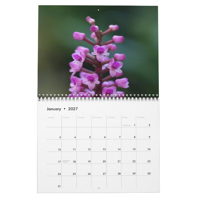 Guatemalan Orchids Calendar (Jan 2027)