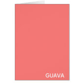 Guava pink color name (Front)