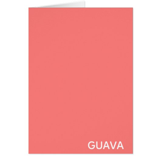 Guava pink color name (Front)