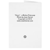 "Gucci" - a Bichon Frise Pup Cards (Back)