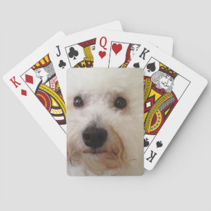"Gucci" - Playing Cards