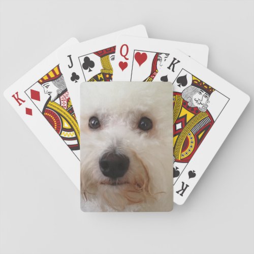 Gucci _ Playing Cards