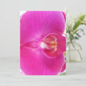 Guda (Standing Front)