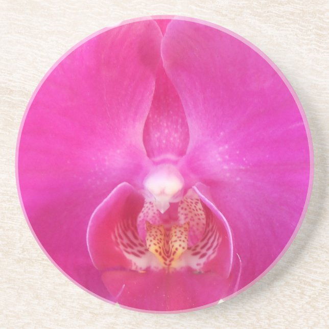 Guda Coaster (Front)