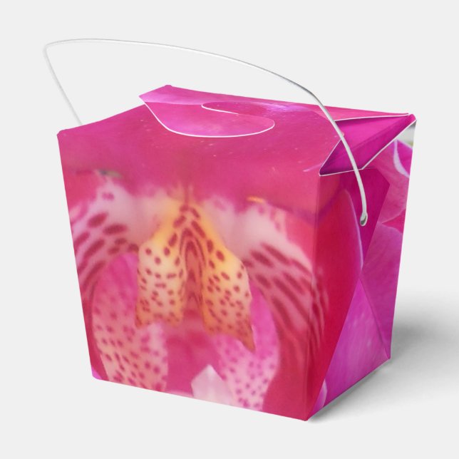 Guda Favor Boxes (Back Side)