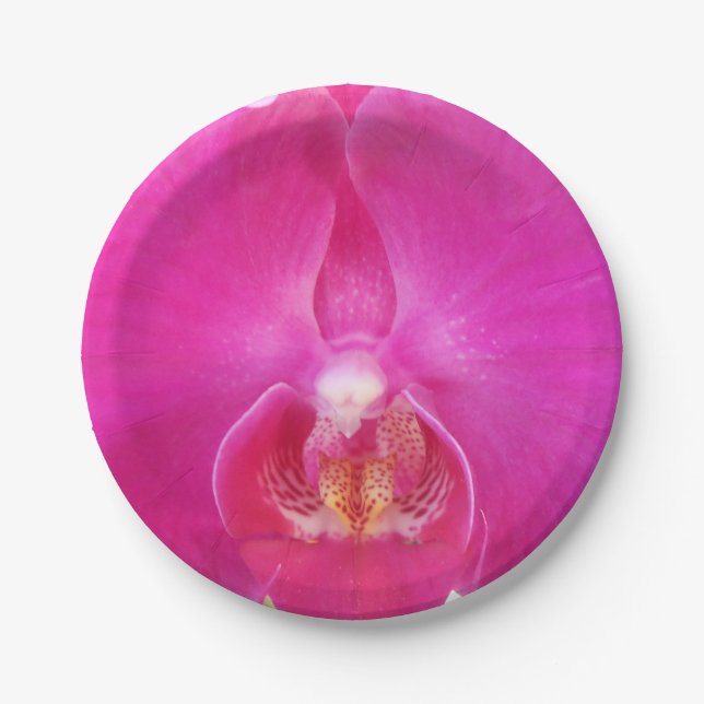 Guda Paper Plates (Front)