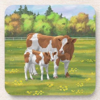Guernsey Cow & Cute Calf in Summer Pasture Beverage Coaster