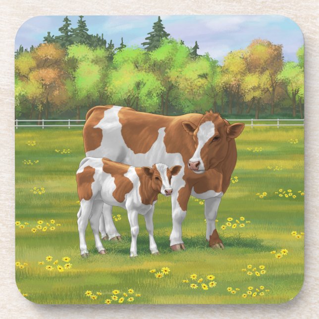 Guernsey Cow & Cute Calf in Summer Pasture Beverage Coaster (Front)