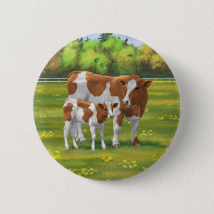 Guernsey Cow & Cute Calf in Summer Pasture Button