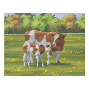 Guernsey Cow & Cute Calf in Summer Pasture Faux Canvas Print