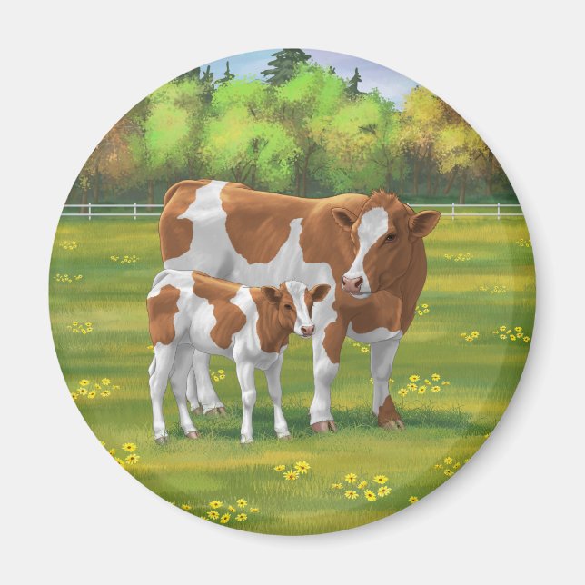 Guernsey Cow & Cute Calf in Summer Pasture Magnet (Front)