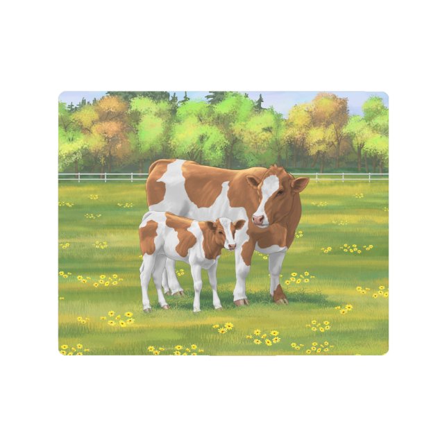 Guernsey Cow & Cute Calf in Summer Pasture Metal Print (Front)