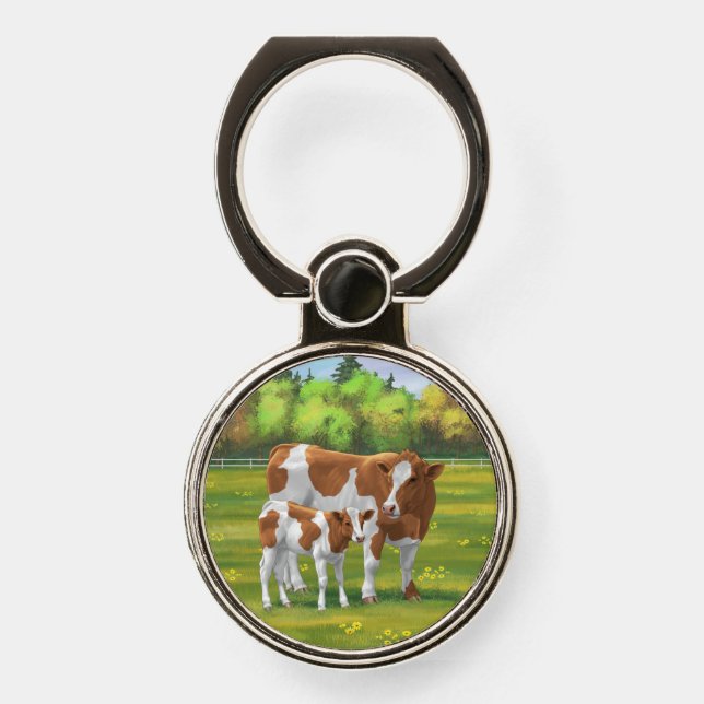 Guernsey Cow & Cute Calf in Summer Pasture Phone Ring Stand (Front)