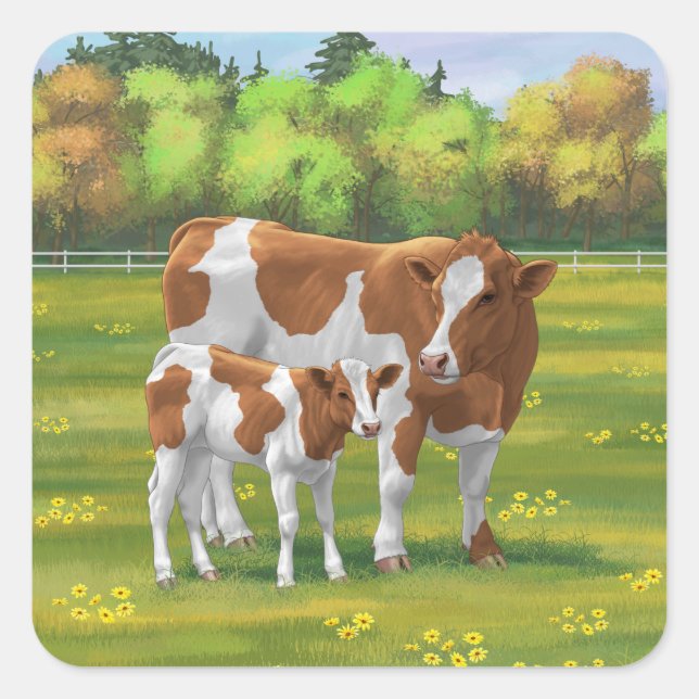 Guernsey Cow & Cute Calf in Summer Pasture Square Sticker (Front)