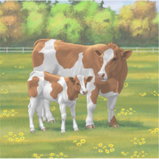 Guernsey Cow & Cute Calf in Summer Pasture Sticker