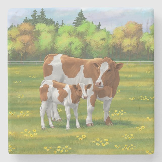 Guernsey Cow & Cute Calf in Summer Pasture Stone Coaster (Front)