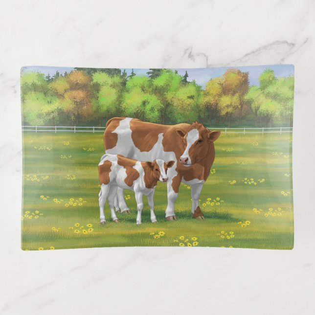 Guernsey Cow & Cute Calf in Summer Pasture Trinket Tray (Front)