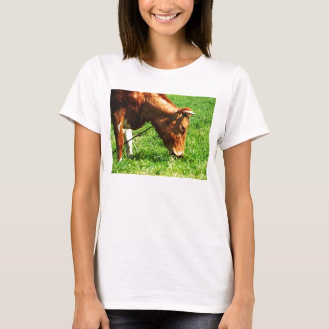 Guernsey cow eating T-Shirt (Front)