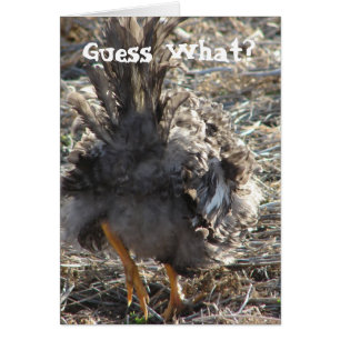 Guess What? Chicken Butt Cards
