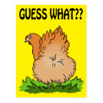 Guess what? Chicken Butt! Postcard
