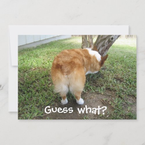 Guess What Corgi Butt Funny Dog Lover Card