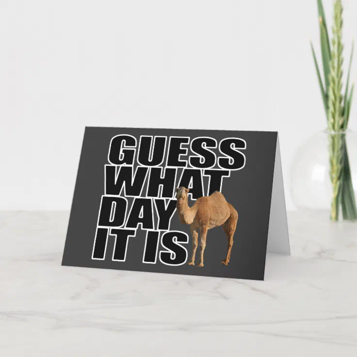 Guess What Day It Is Hump Day Camel Card Zazzle