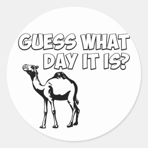 Guess What Day it Is Hump Day Camel Classic Round Sticker