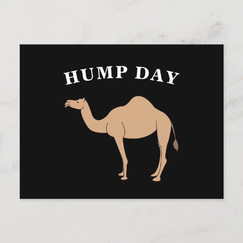 Guess What Day It Is Hump Day Camel Desert Animal Postcard