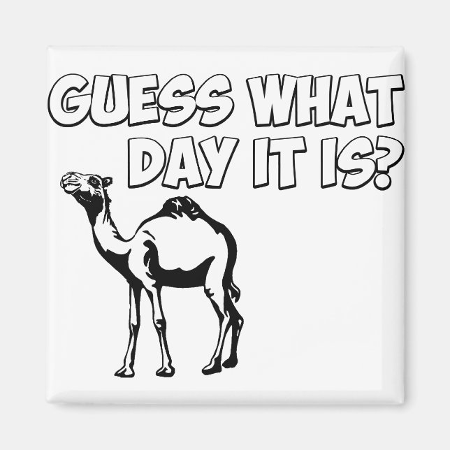Guess What Day it Is? Hump Day Camel Magnet (Front)