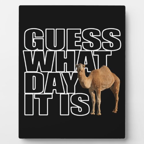 Guess What Day It Is Hump Day Camel Plaque