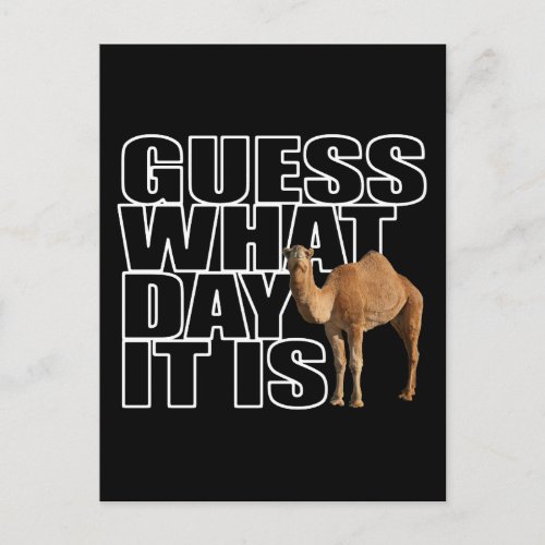 Guess What Day It Is Hump Day Camel Postcard