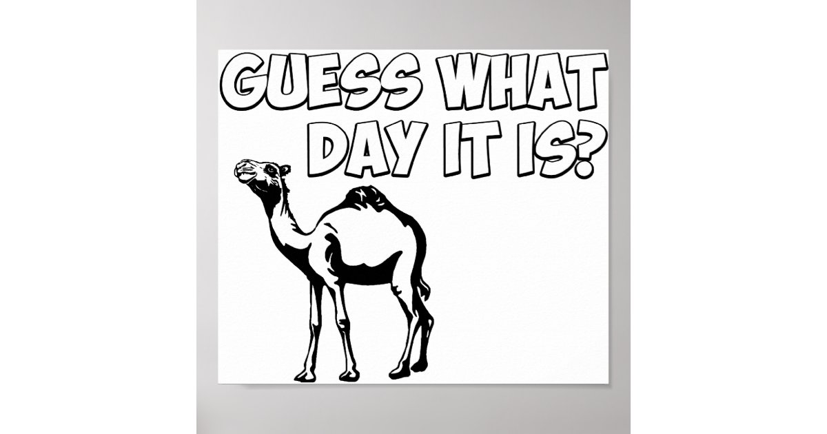 Guess what day it is hump day camel poster zazzle
