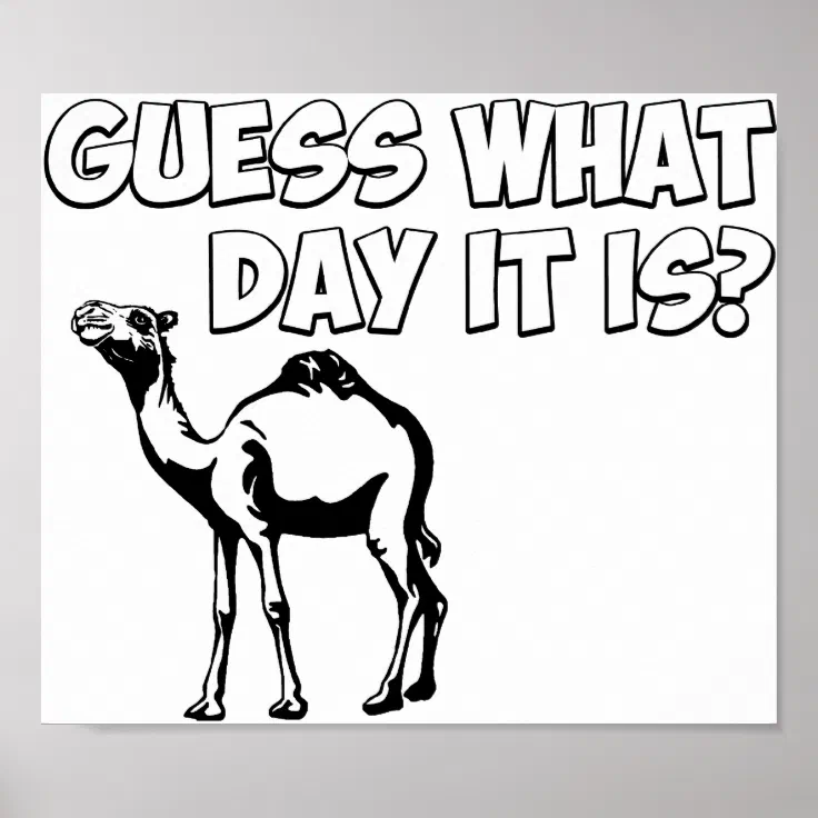 happy hump day camel meme