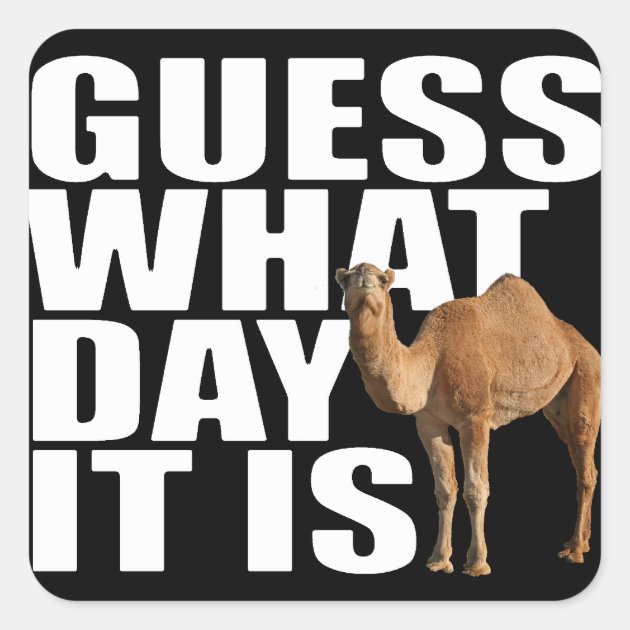 Hump Day Camel - Guess What Day It Is " Greeting Card For Sale By SimplyNun