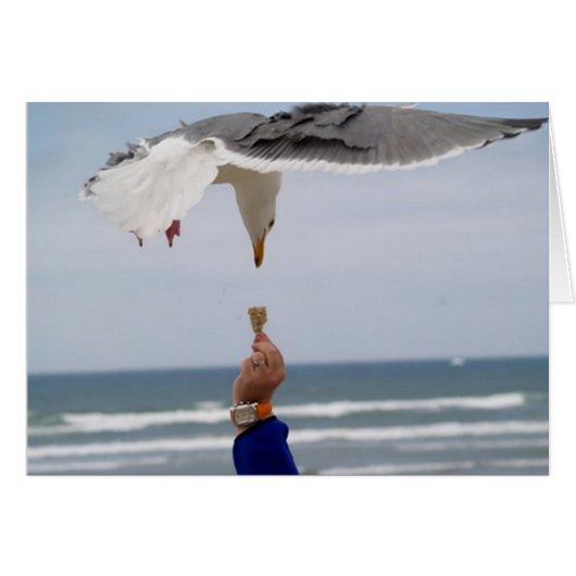 Guess Whos Coming To Dinner (Front Horizontal)