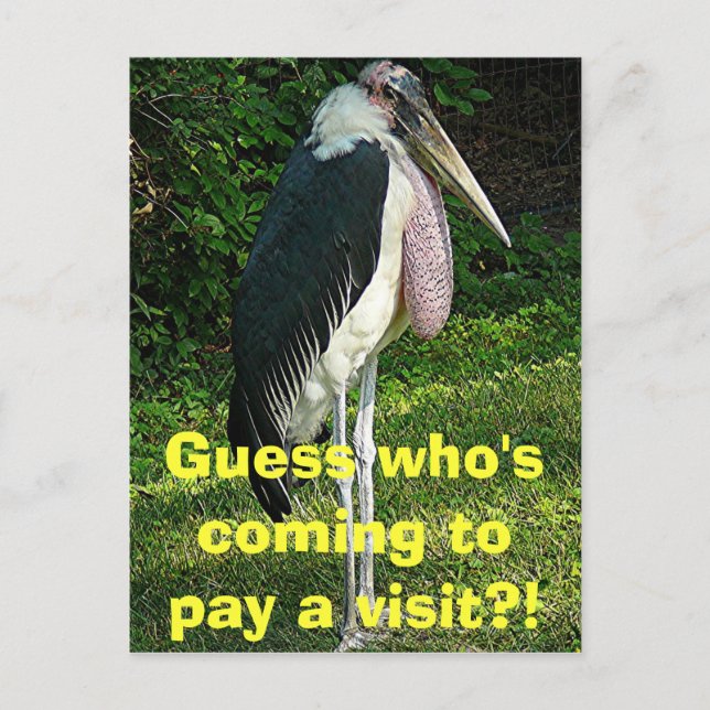 Guess who's coming to pay a visit?! postcard (Front)