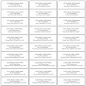 Guest Address Labels for 30 Invitation Envelopes | Zazzle