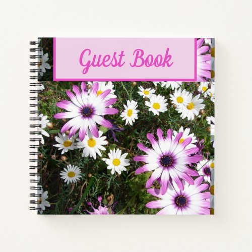 Guest Book Daisy Purple Pink floral Flower