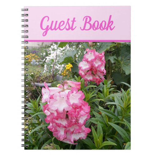 Guest Book Penstemon Beautiful Pink floral Flower