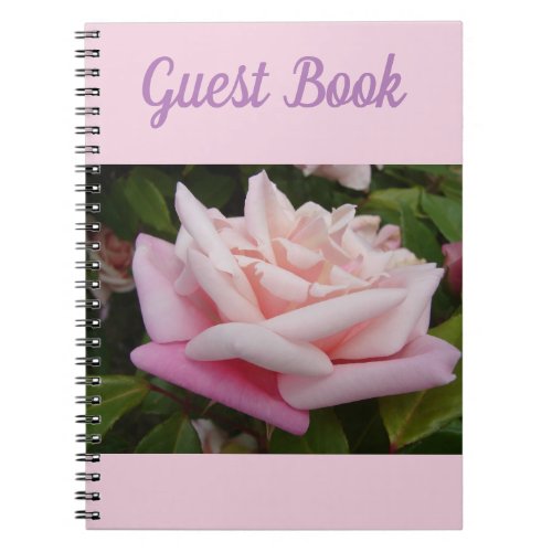 Guest Book Rose Beautiful Pink Rose Flower Retro