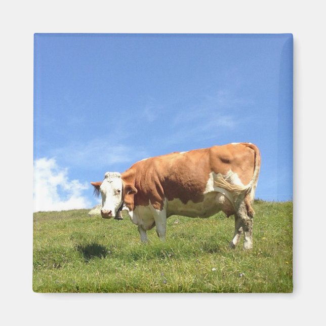 Guest house Fernblick - cow magnet (Front)