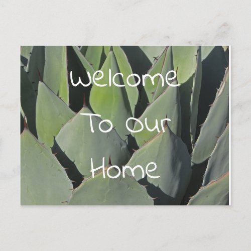 Guest Welcome Green Agave Leaves Photo Southwest Postcard