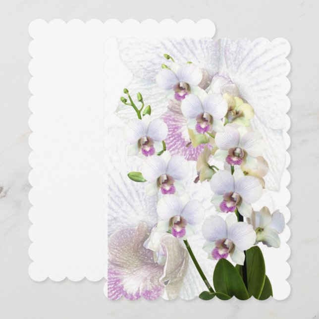 Guests Party Custom Personalize Destiny Destiny'S Invitation (Front/Back)