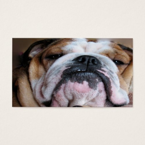 gugu business card templates