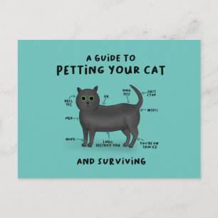 Guide to Petting Your Cat - Cat Humour Postcard