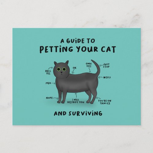 Guide to Petting Your Cat _ Cat Humour Postcard