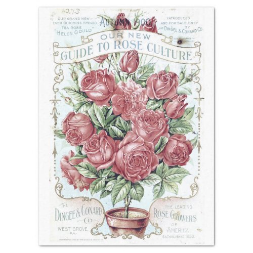 GUIDE TO ROSE CULTURE ANTIQUE GARDENERS BROCHURE TISSUE PAPER