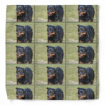 Guileless Rottweiler Bandana