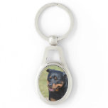 Guileless Rottweiler Keychain